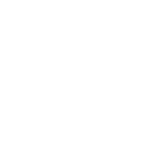 chambers 313x291